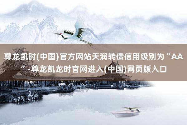 尊龙凯时(中国)官方网站天润转债信用级别为“AA”-尊龙凯龙时官网进入(中国)网页版入口