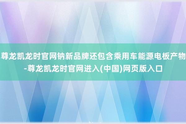 尊龙凯龙时官网钠新品牌还包含乘用车能源电板产物-尊龙凯龙时官网进入(中国)网页版入口