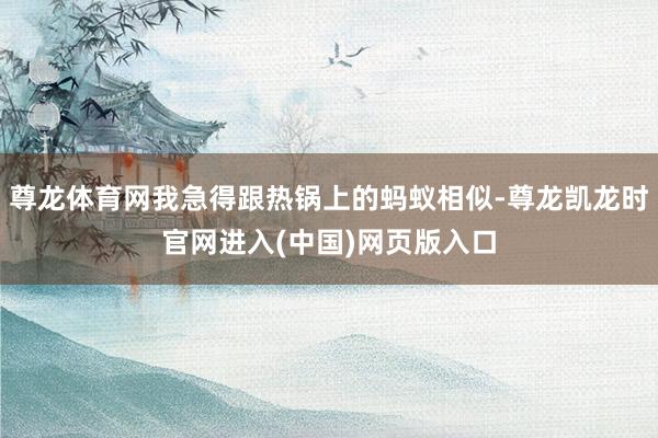 尊龙体育网我急得跟热锅上的蚂蚁相似-尊龙凯龙时官网进入(中国)网页版入口