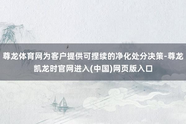 尊龙体育网为客户提供可捏续的净化处分决策-尊龙凯龙时官网进入(中国)网页版入口