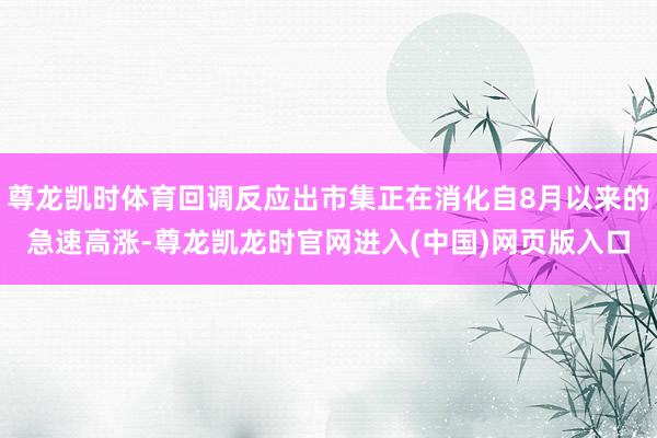尊龙凯时体育回调反应出市集正在消化自8月以来的急速高涨-尊龙凯龙时官网进入(中国)网页版入口