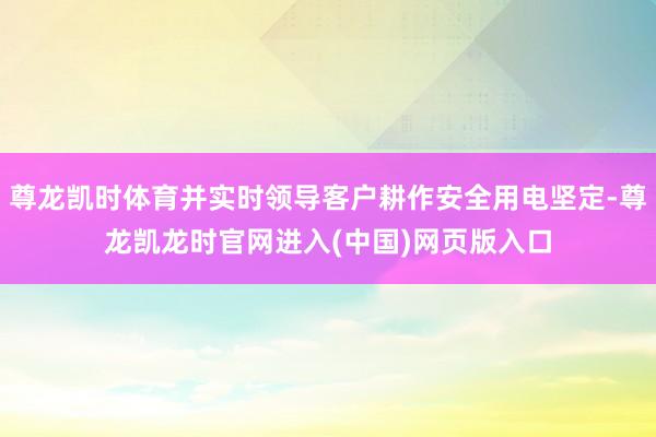 尊龙凯时体育并实时领导客户耕作安全用电坚定-尊龙凯龙时官网进入(中国)网页版入口