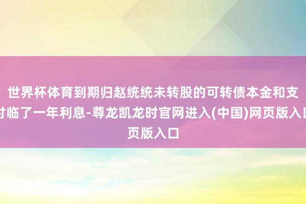 世界杯体育到期归赵统统未转股的可转债本金和支付临了一年利息-尊龙凯龙时官网进入(中国)网页版入口