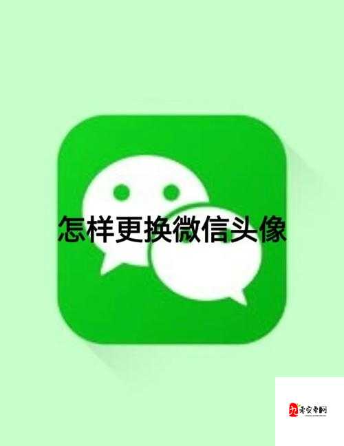 微信头像突然变灰?系统维护时这些操作让你不慌张
