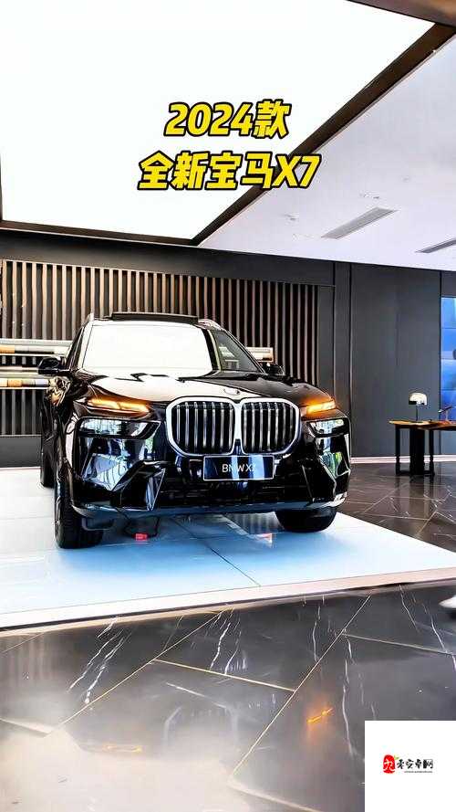 国产X7X7X7X7X7性价比深度解析：性能与预算的最优解