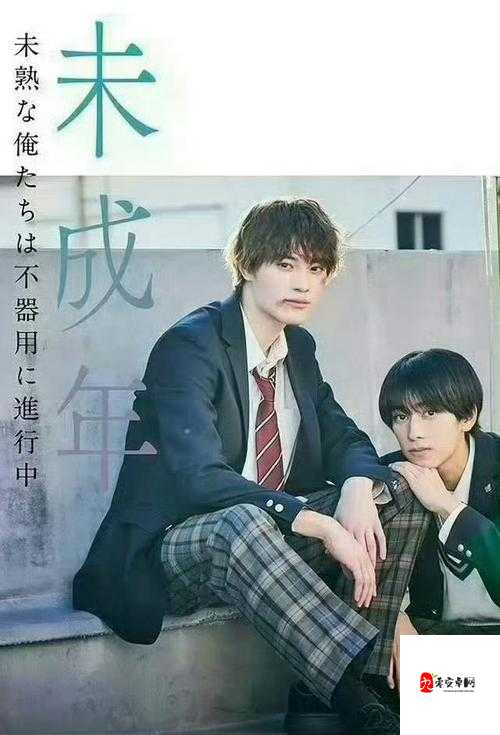 日本18岁群体的蜕变之旅：从叛逆到责任的代际觉醒