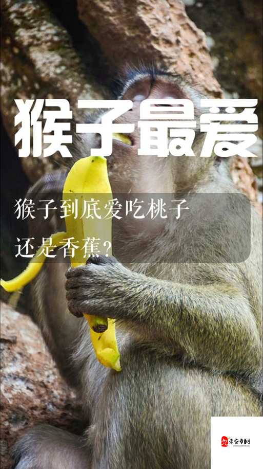浃男🍌❌女🍑摸🐻水流视频爆火：一场撕裂的社会镜像实验