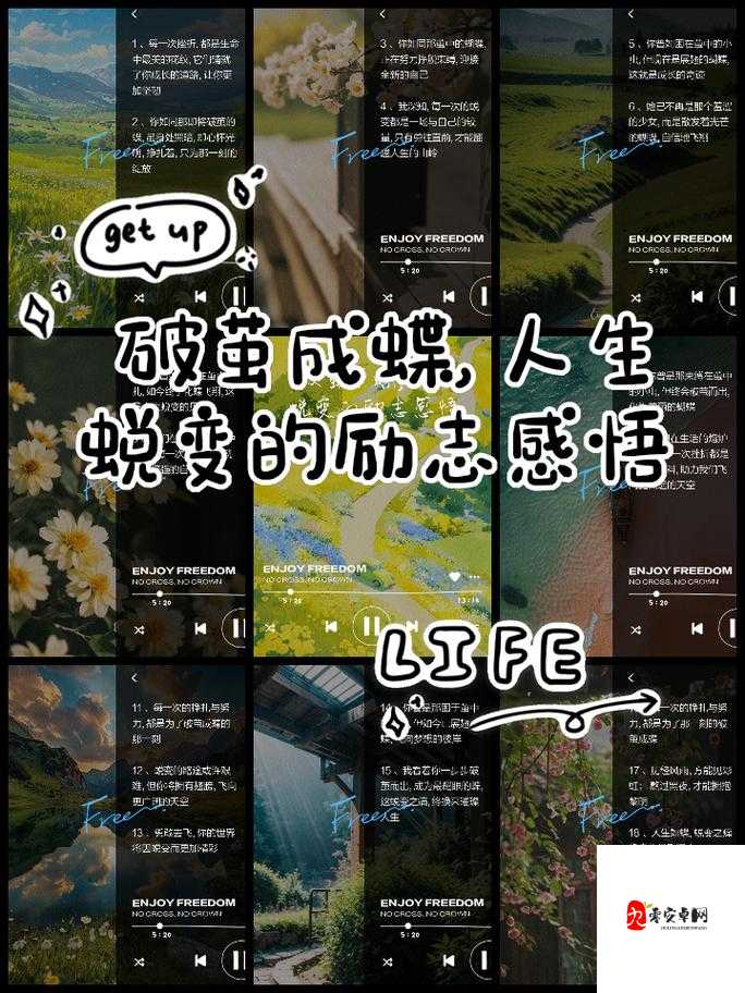 三个校草被调教成贱奴1：从光芒万丈到脚踏实地的人生蜕变