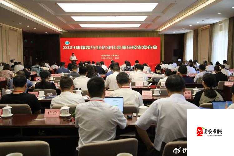 ThePon：探索成人内容行业的社会责任与未来发展