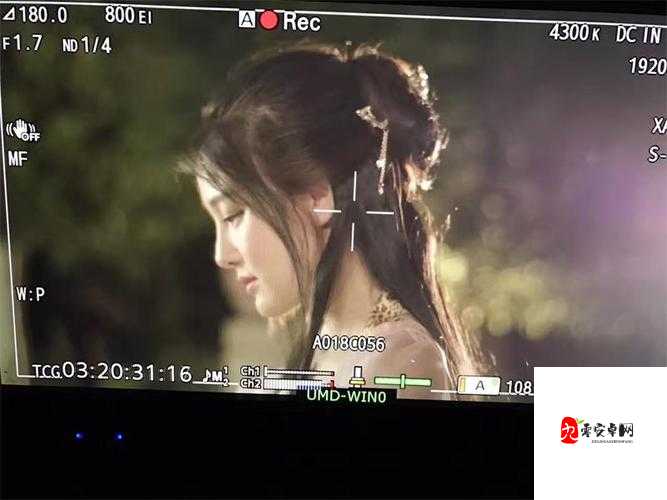 古装一级A片㸒女AAA片7爆红背后：从荧幕热潮到文化共鸣
