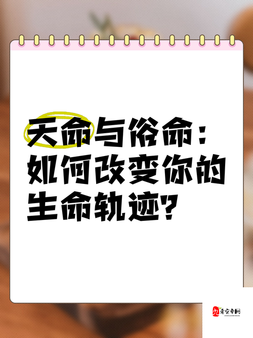 三年免费观看最经典的一句：它如何改写了我的生命轨迹